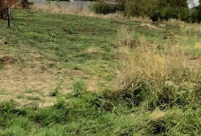 Teren de 1100 mp, în Odaia Manolache