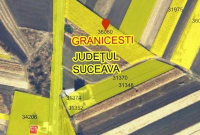 Spațiu comercial, în Grănicești - 5