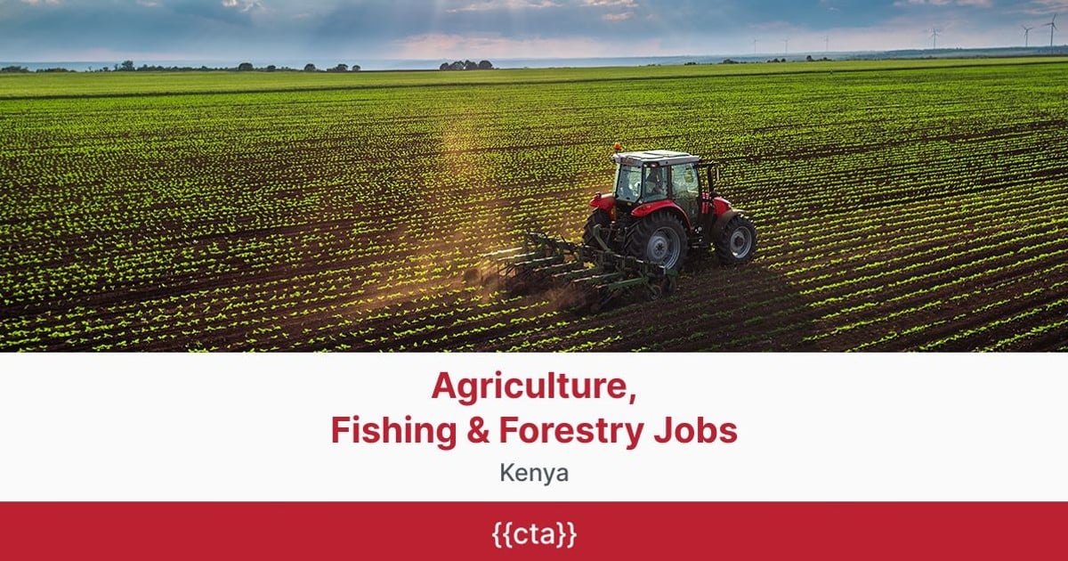 Jobs in Kenya BrighterMonday