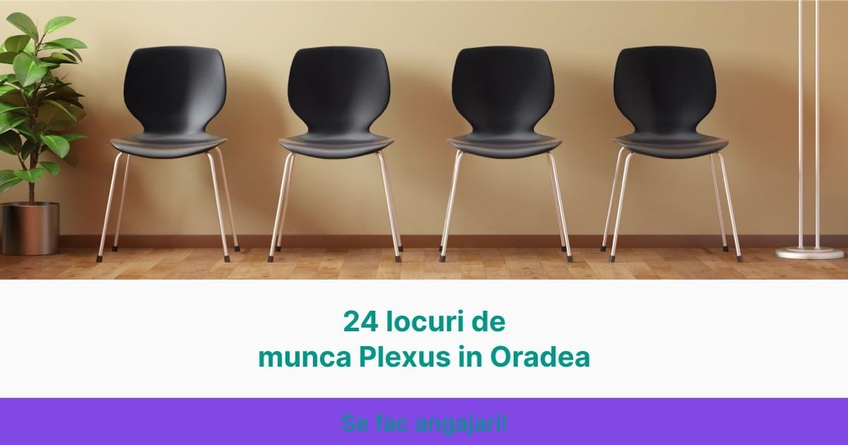 Plxus Locuri de Munca Plexus in Oradea - 24 Joburi Disponibile | Jobradar24 ...