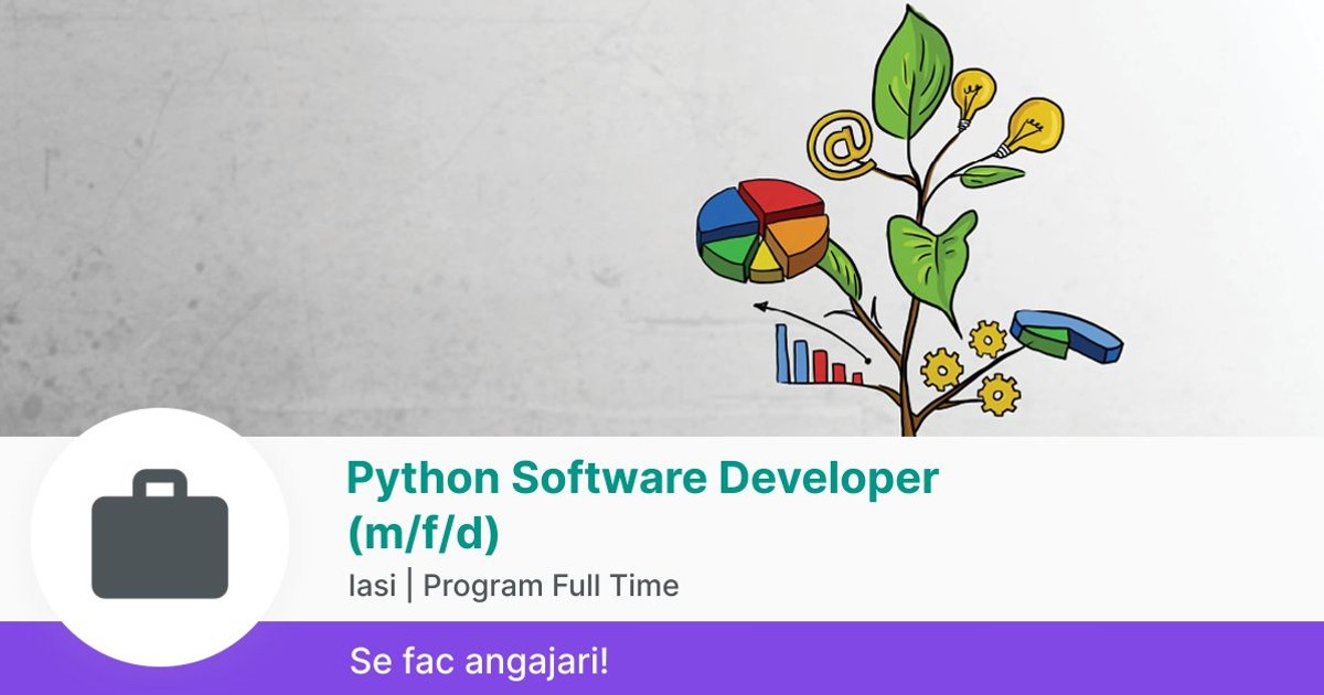 Python Software Developer (m/f/d) in Iasi la E.ON Software Development ...