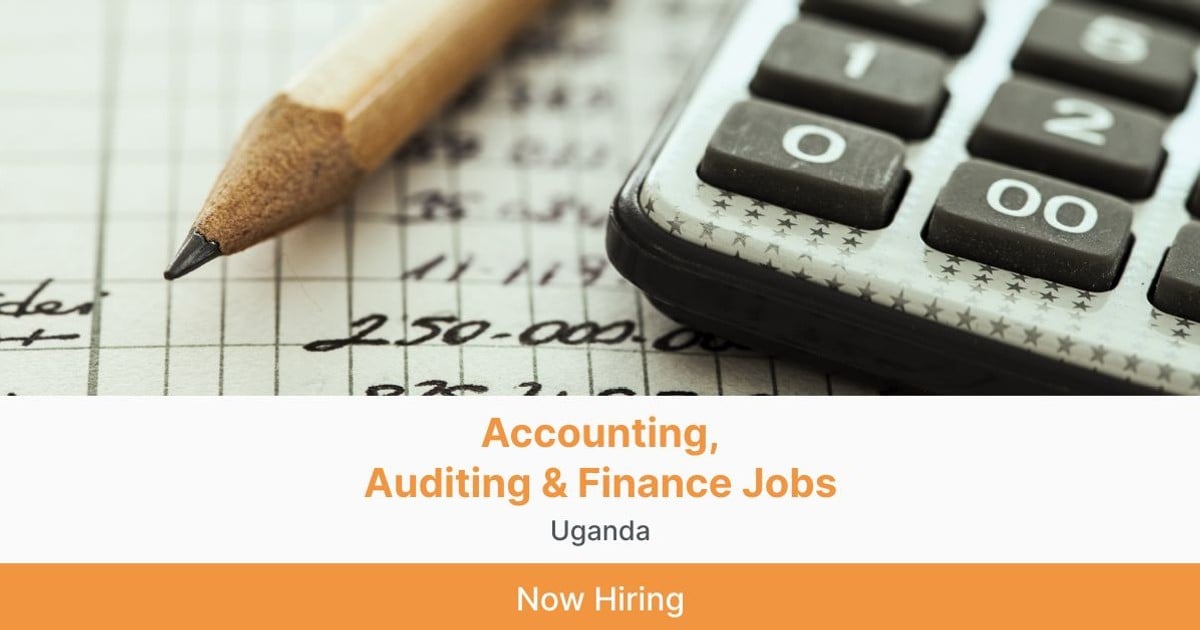 Accounting Auditing Finance Jobs In Uganda