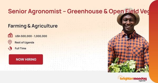 Senior Agronomist – Greenhouse & Open Field Vegetable Production in Rest of Uganda